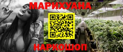 apvp Свободный