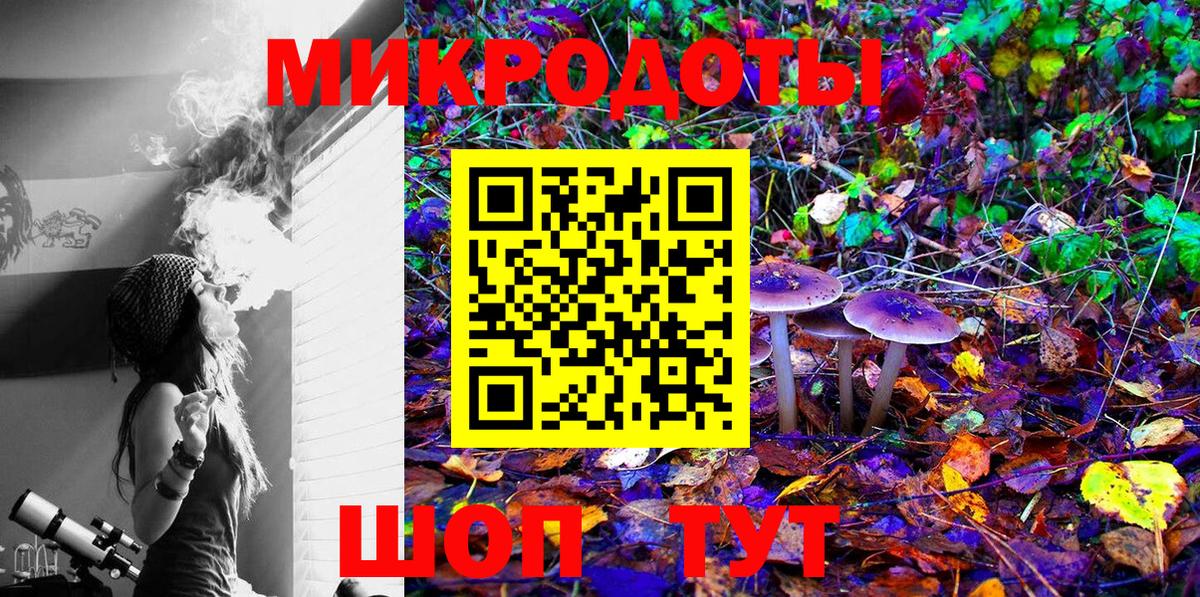 Муром  Псилоцибиновые грибы Psilocybine cubensis  Вход с VPN 