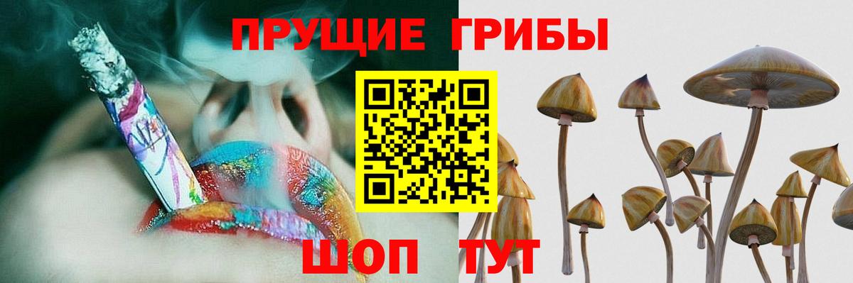 Псилоцибиновые грибы прущие грибы Муром
